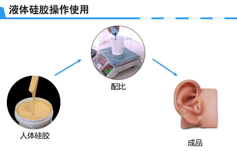 仿真人體硅膠操作 仿真人體硅膠操作